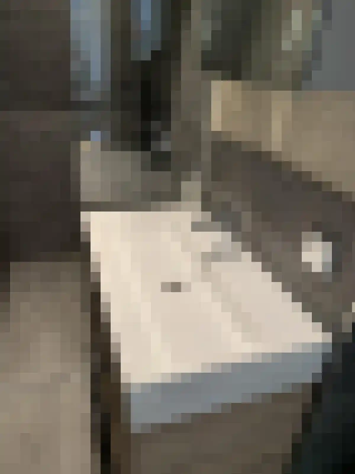 Laan Copes van Cattenburch 69 Q Den Haag thumbnail 6