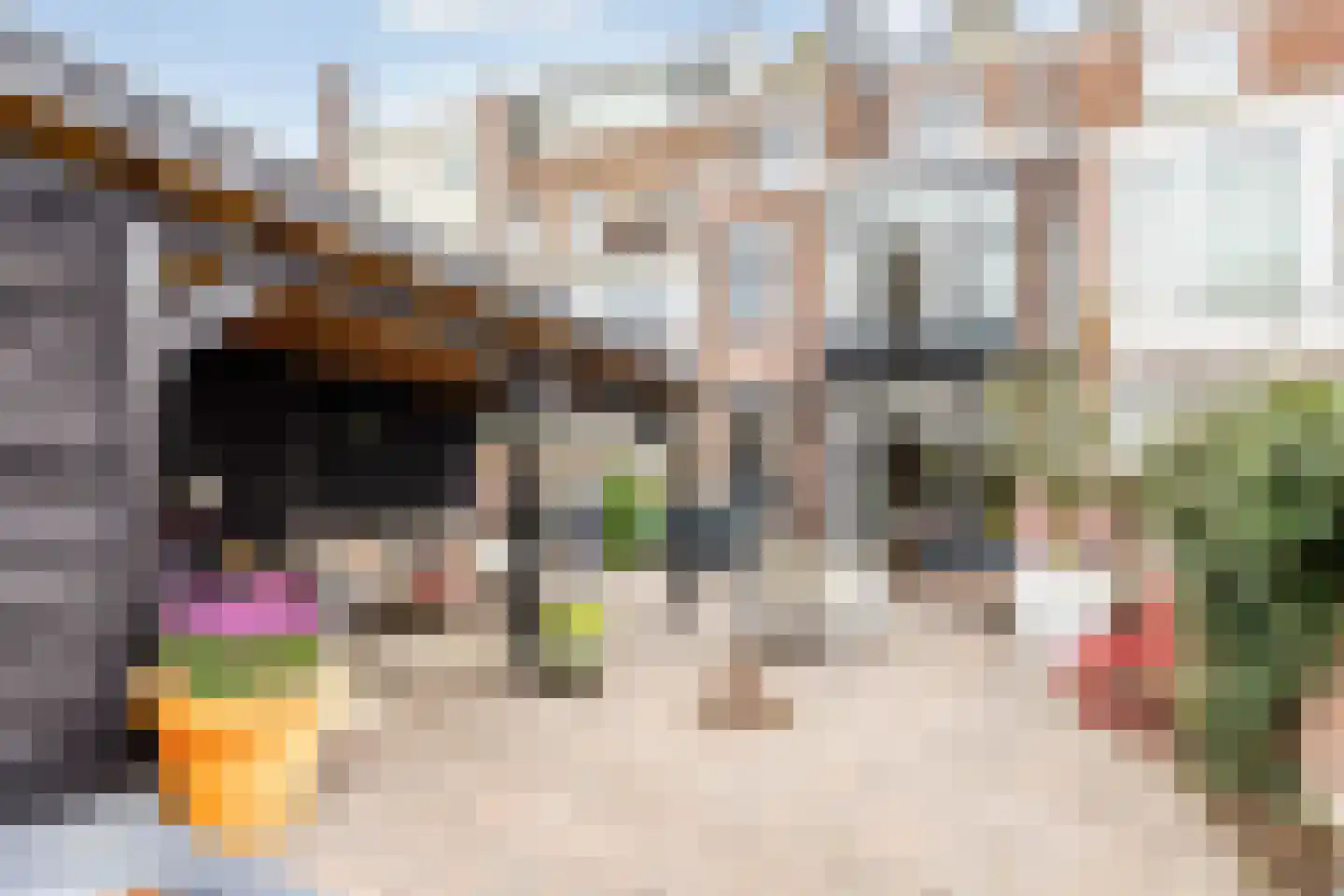 Laan Copes van Cattenburch 72 Den Haag thumbnail 8