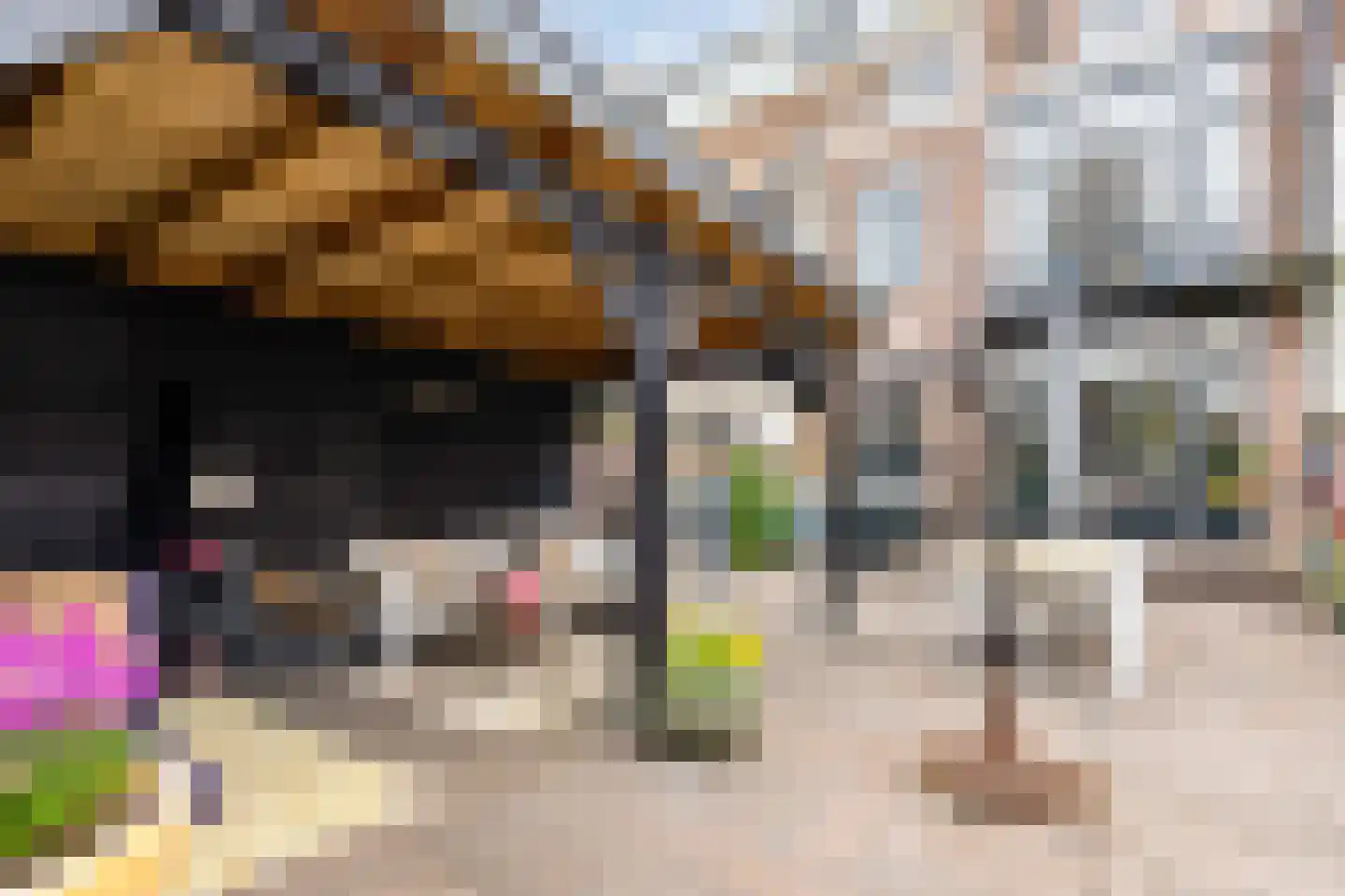 Laan Copes van Cattenburch 72 Den Haag thumbnail 9