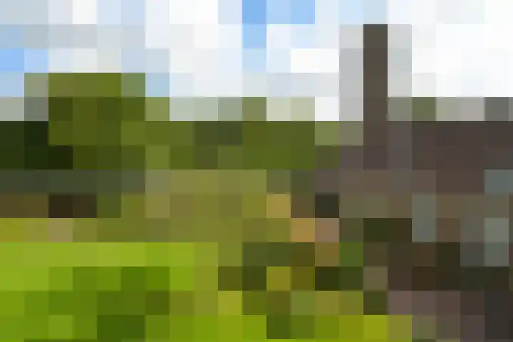 Laan de Goede Herder 7 Wassenaar