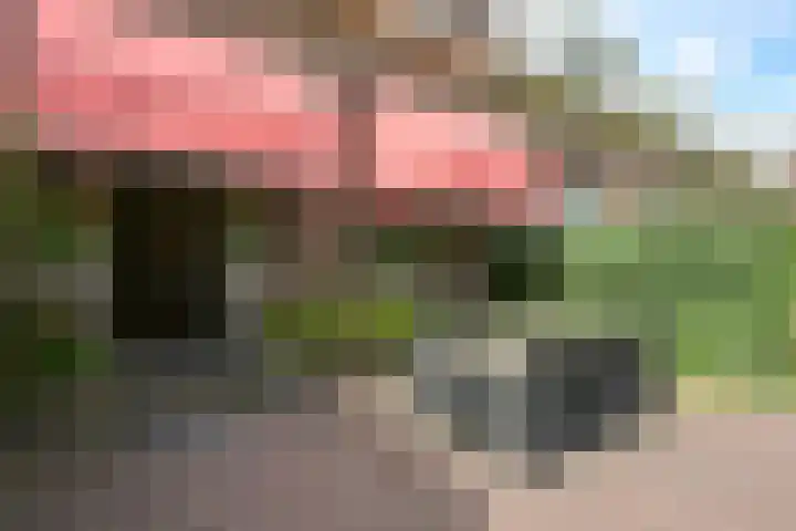 Laan de Goede Herder 7 Wassenaar thumbnail 11