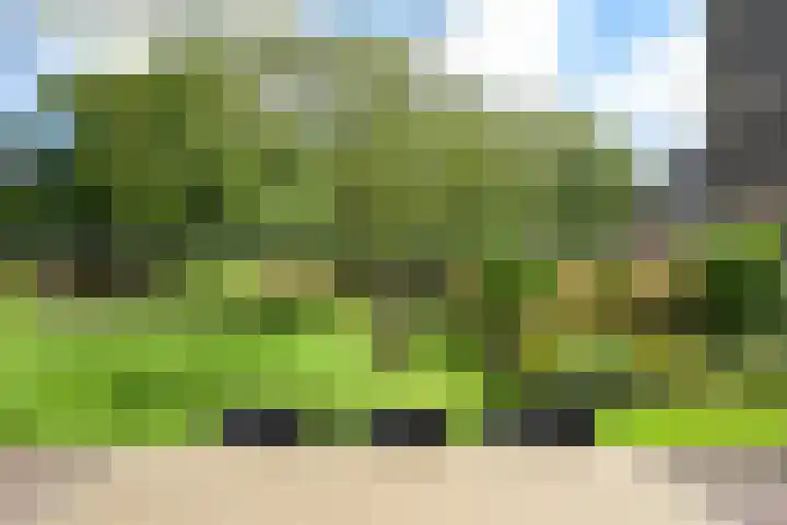 Laan de Goede Herder 7 Wassenaar thumbnail 13