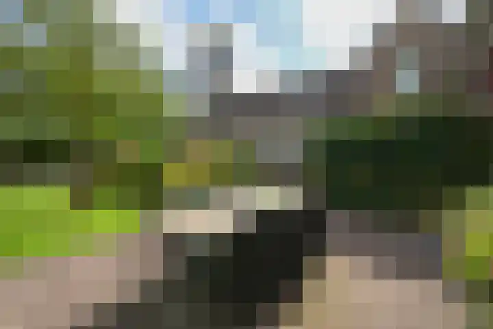Laan de Goede Herder 7 Wassenaar thumbnail 15