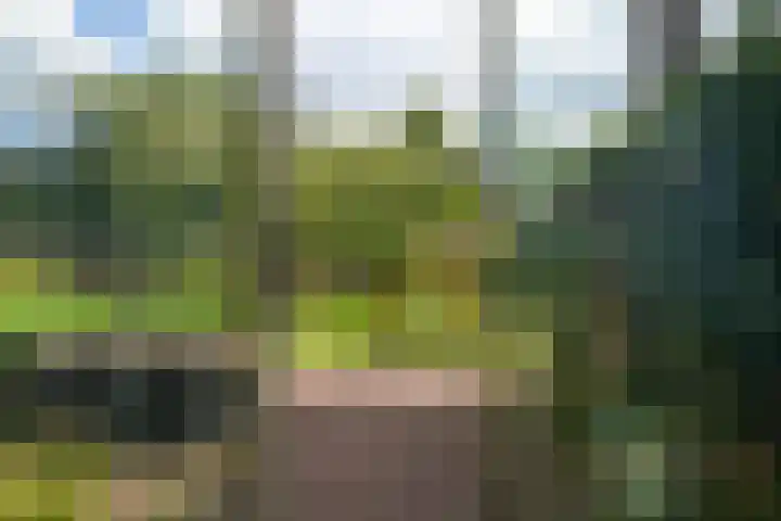 Laan de Goede Herder 7 Wassenaar thumbnail 16