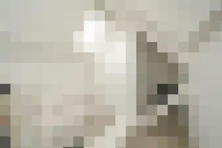 Laan de Goede Herder 7 Wassenaar thumbnail 36