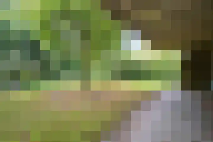 Laan de Goede Herder 7 Wassenaar thumbnail 38