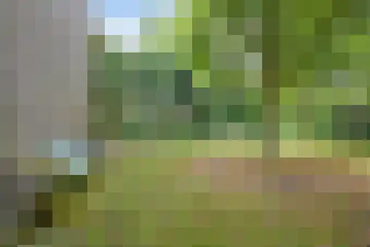 Laan de Goede Herder 7 Wassenaar thumbnail 39