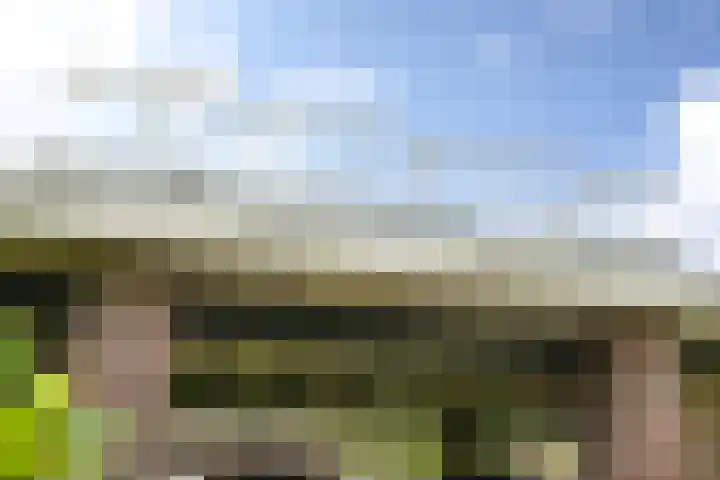 Laan de Goede Herder 7 Wassenaar thumbnail 6