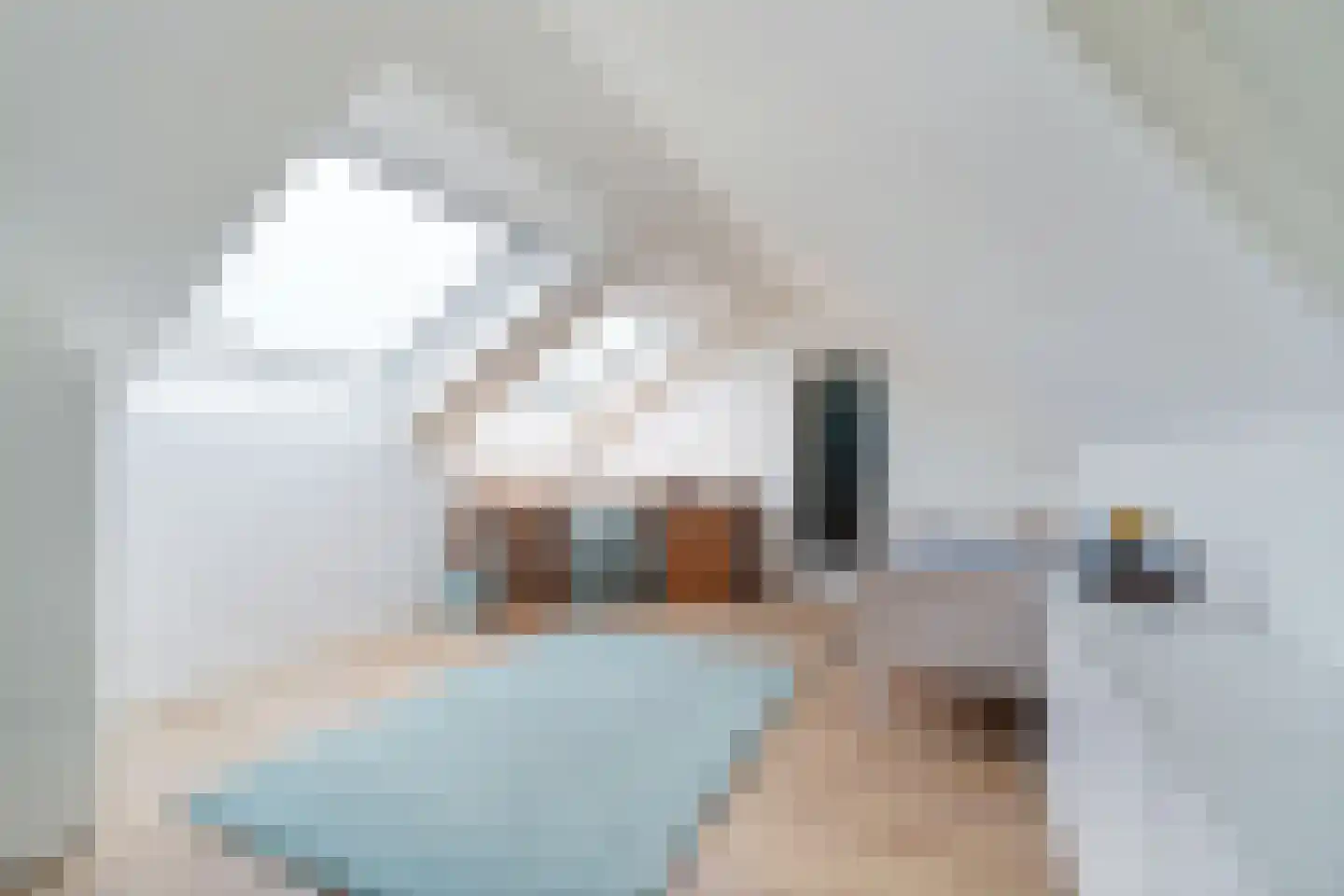Laan der Commando's 23 Middelburg thumbnail 30