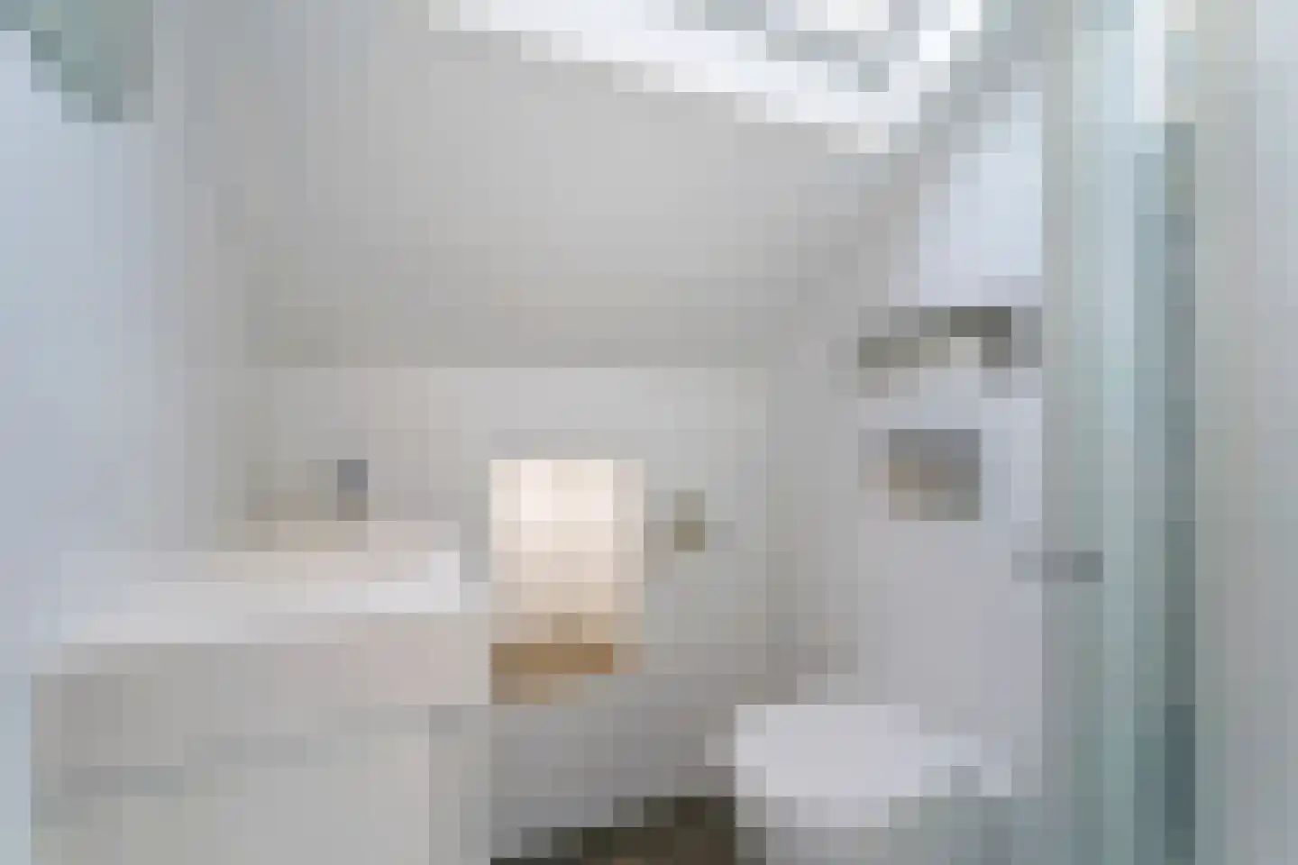 Laan der Commando's 23 Middelburg thumbnail 32