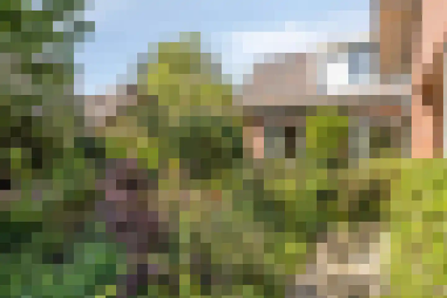 Laan der Commando's 8 Middelburg thumbnail 41
