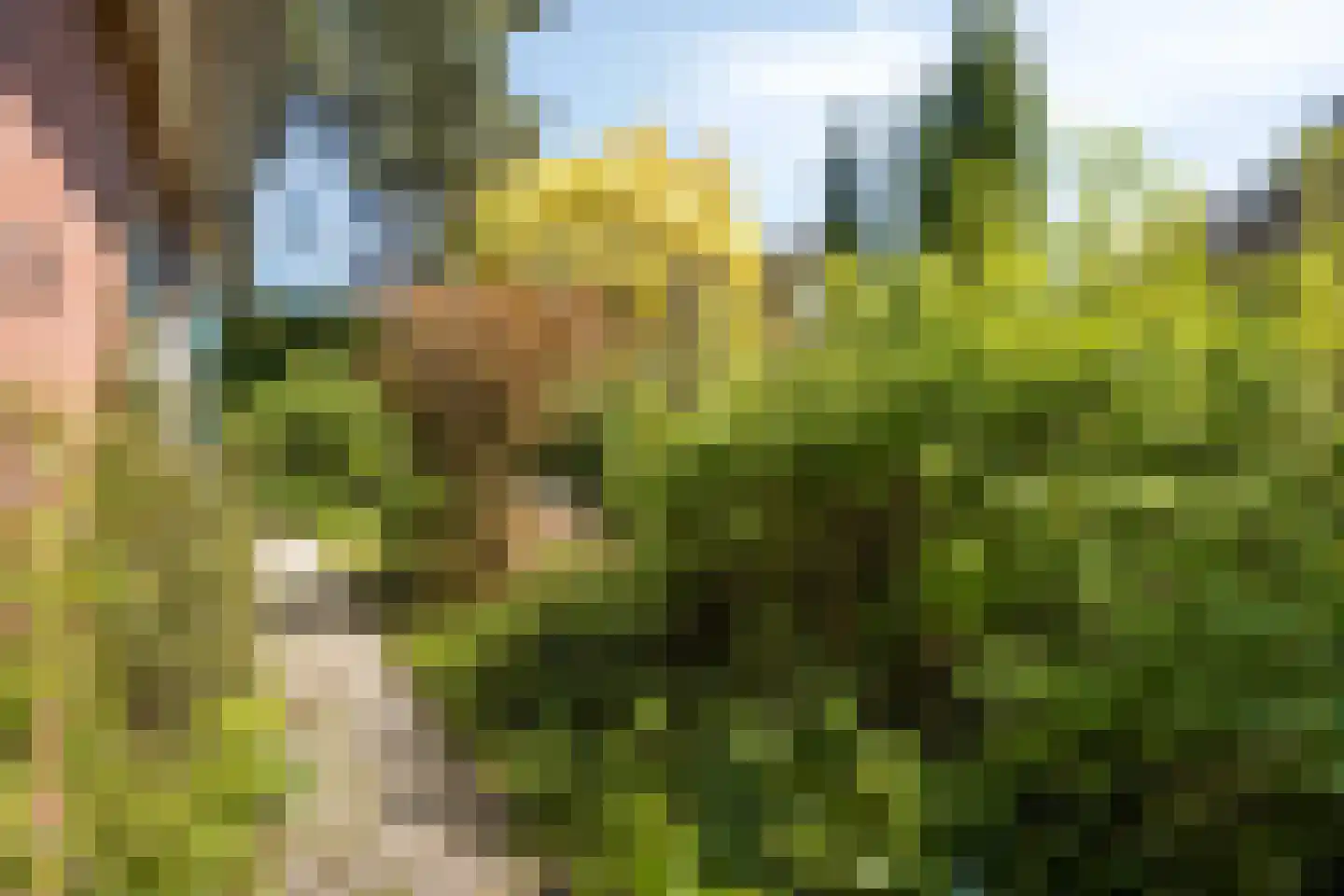 Laan der Commando's 8 Middelburg thumbnail 42