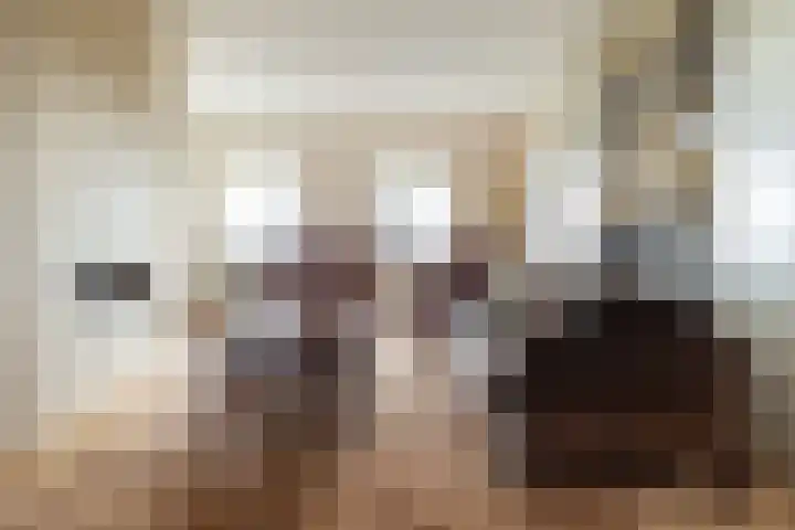 Laan der Continenten 17 Teteringen thumbnail 12