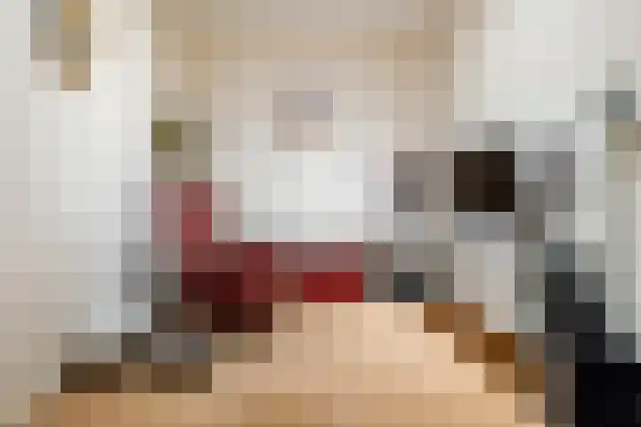 Laan der Continenten 17 Teteringen thumbnail 16