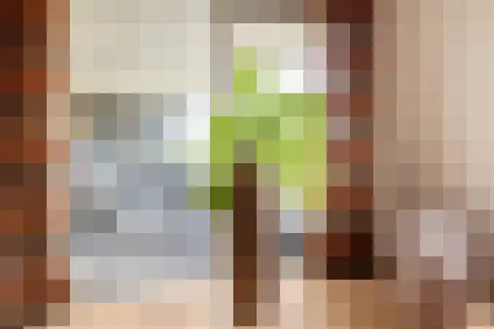 Laan der Continenten 17 Teteringen thumbnail 19