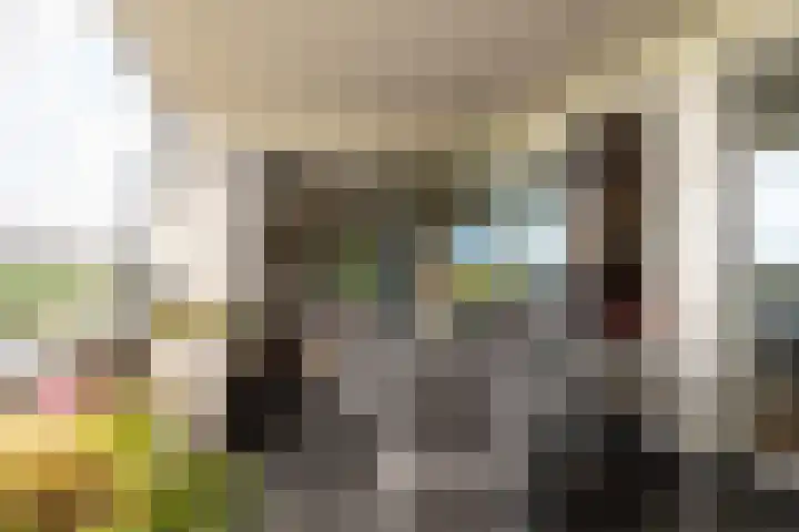 Laan der Continenten 17 Teteringen thumbnail 20