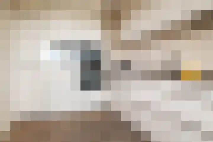 Laan der Continenten 17 Teteringen thumbnail 24
