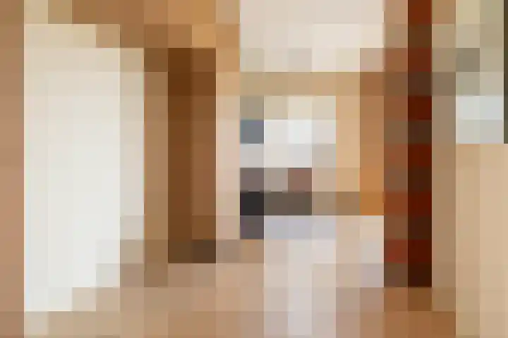 Laan der Continenten 17 Teteringen thumbnail 31