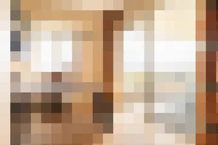 Laan der Continenten 17 Teteringen thumbnail 32