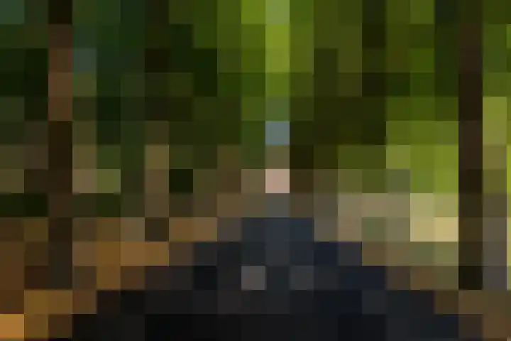 Laan der Continenten 17 Teteringen thumbnail 40