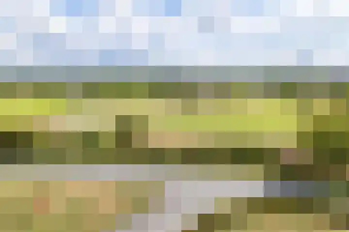 Laan der Continenten 17 Teteringen thumbnail 42