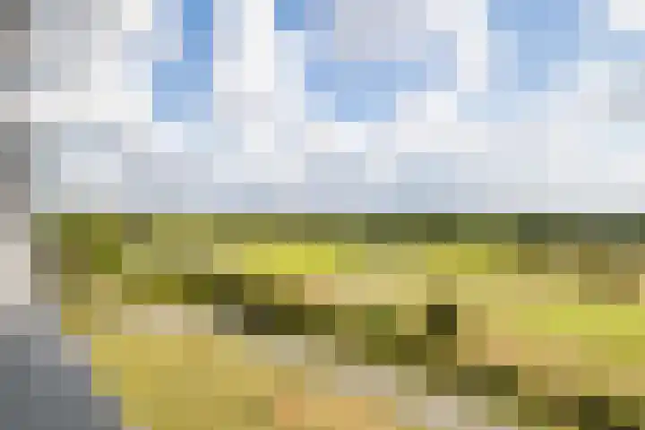 Laan der Continenten 17 Teteringen thumbnail 43