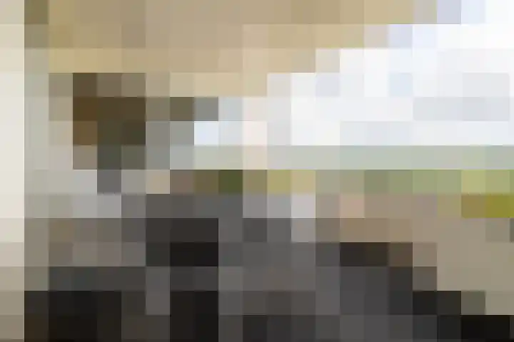 Laan der Continenten 17 Teteringen thumbnail 5