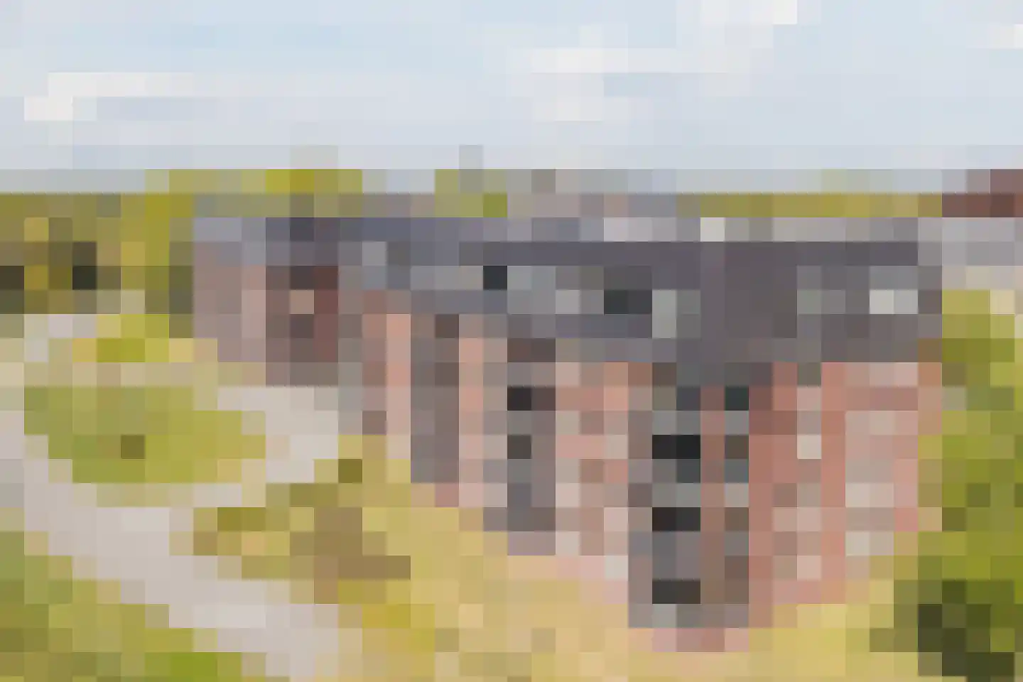 Laan der Continenten 23 Teteringen thumbnail 44