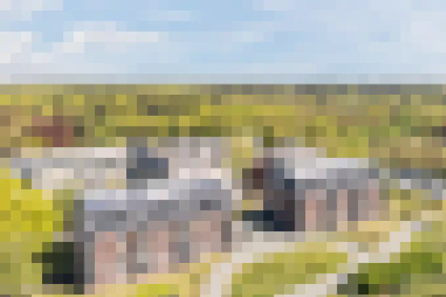 Laan der Continenten 23 Teteringen thumbnail 45