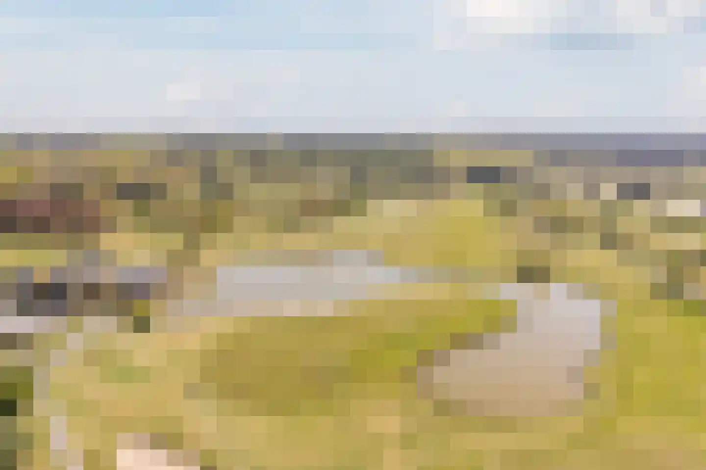 Laan der Continenten 23 Teteringen thumbnail 46