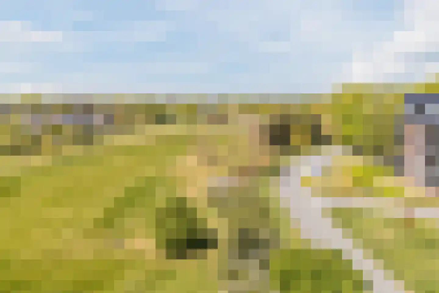 Laan der Continenten 23 Teteringen thumbnail 47