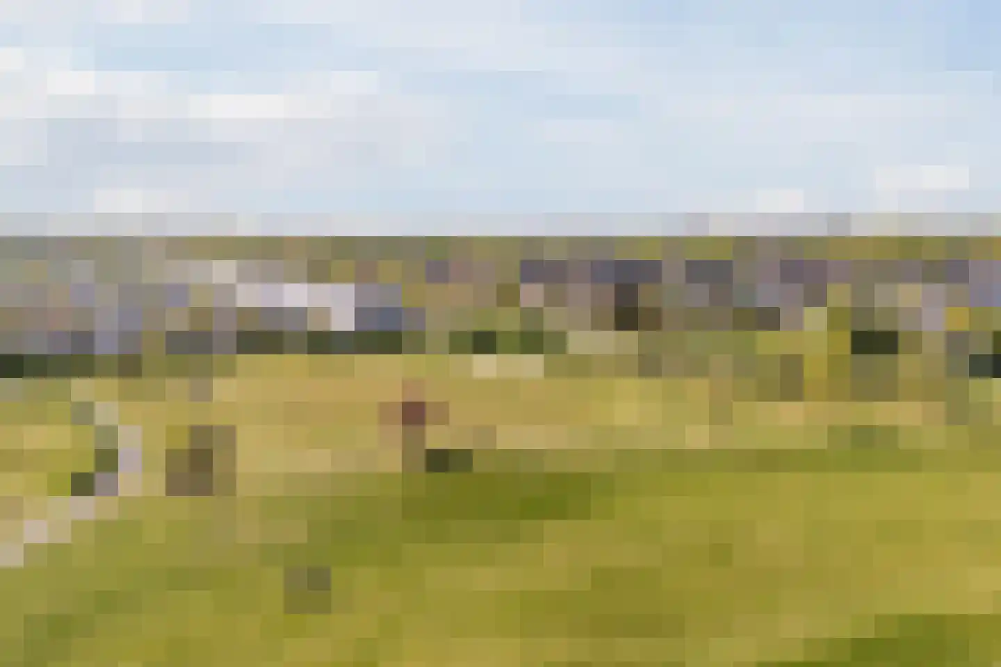 Laan der Continenten 23 Teteringen thumbnail 48