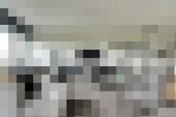 Laan der Continenten 27 Teteringen thumbnail 12