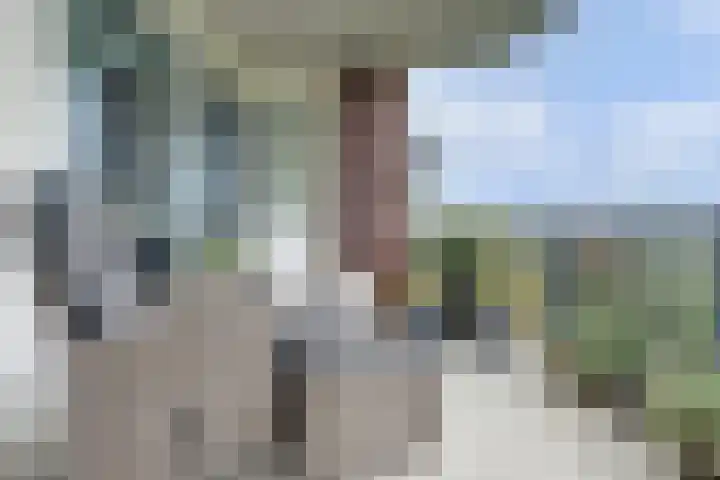 Laan der Continenten 27 Teteringen thumbnail 14