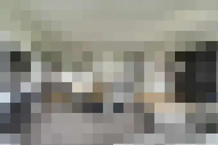 Laan der Continenten 27 Teteringen thumbnail 16
