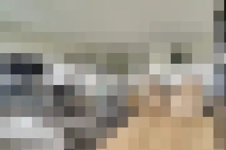Laan der Continenten 27 Teteringen thumbnail 17