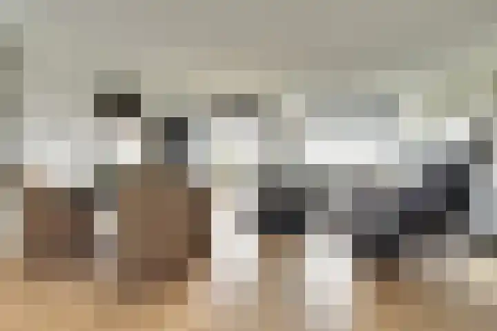 Laan der Continenten 27 Teteringen thumbnail 18
