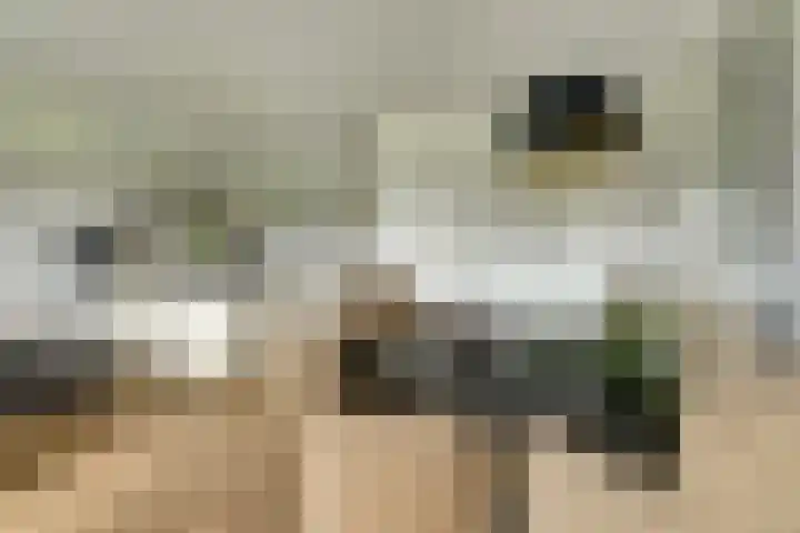 Laan der Continenten 27 Teteringen thumbnail 19