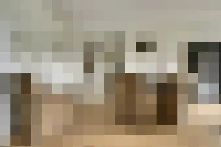 Laan der Continenten 27 Teteringen thumbnail 20