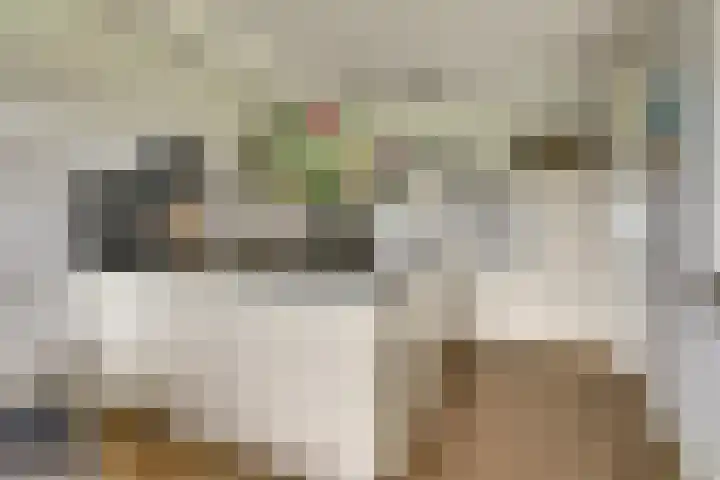 Laan der Continenten 27 Teteringen thumbnail 21