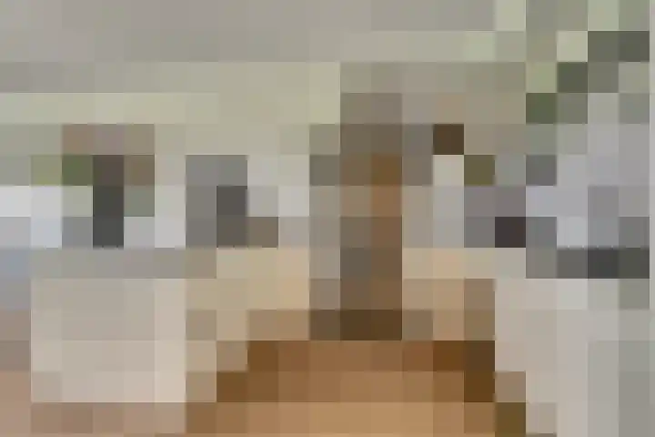 Laan der Continenten 27 Teteringen thumbnail 22