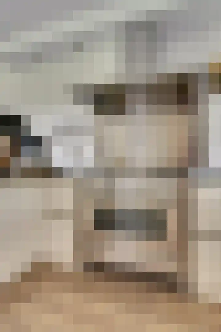 Laan der Continenten 27 Teteringen thumbnail 23