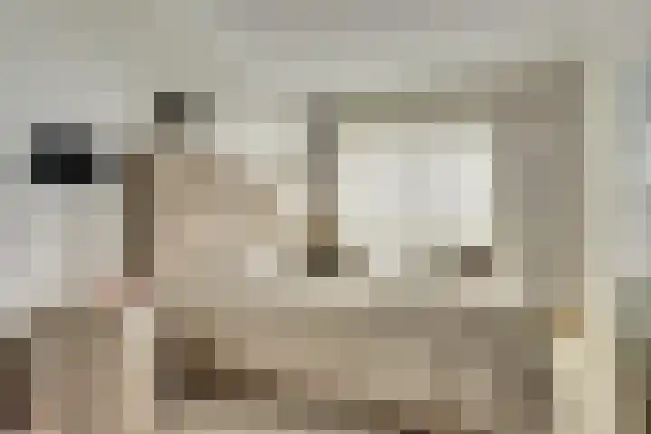 Laan der Continenten 27 Teteringen thumbnail 27
