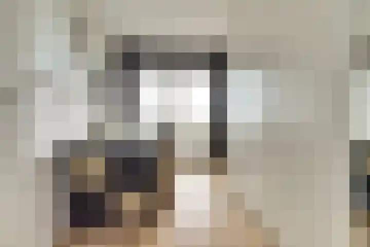 Laan der Continenten 27 Teteringen thumbnail 28