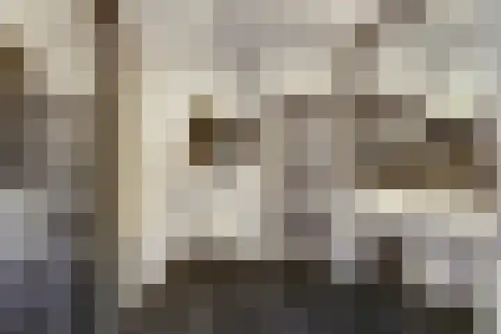 Laan der Continenten 27 Teteringen thumbnail 29