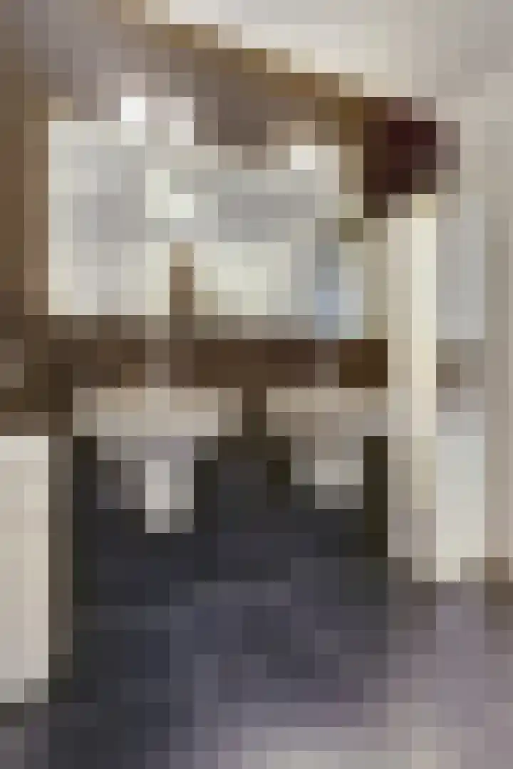 Laan der Continenten 27 Teteringen thumbnail 30