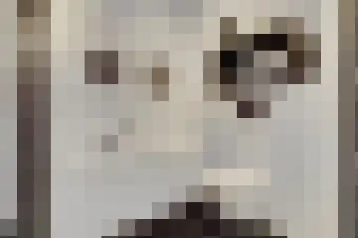 Laan der Continenten 27 Teteringen thumbnail 32