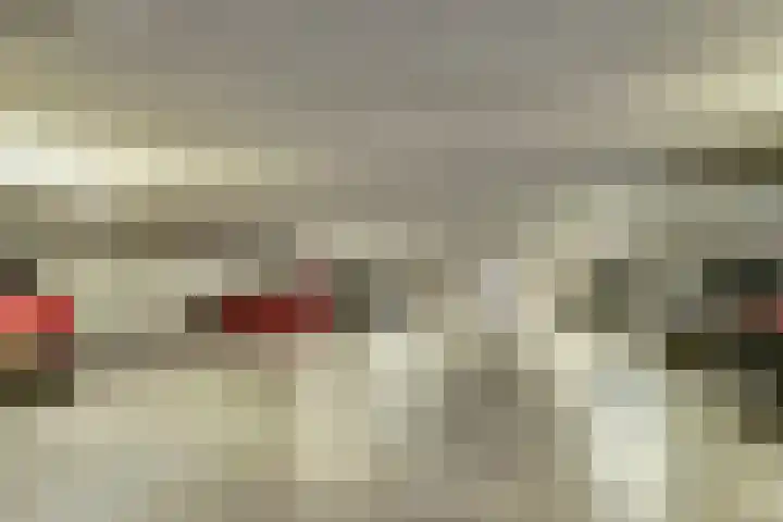 Laan der Continenten 27 Teteringen thumbnail 34