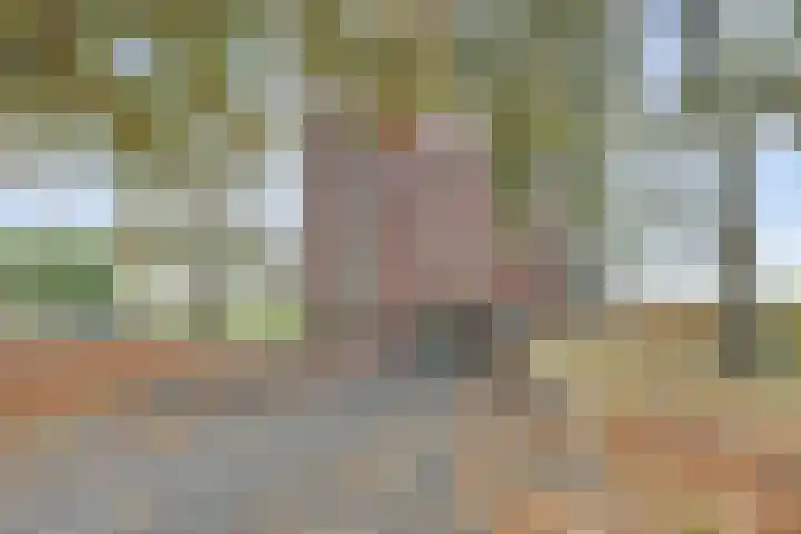 Laan der Continenten 27 Teteringen thumbnail 36