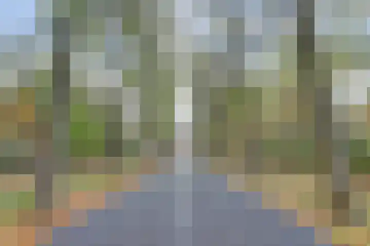 Laan der Continenten 27 Teteringen thumbnail 5